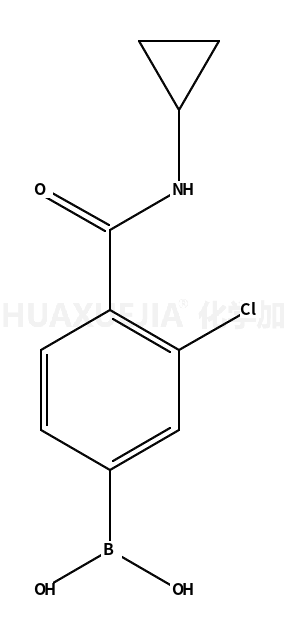 3-氯-4-(环丙基氨甲酰基)苯基硼酸