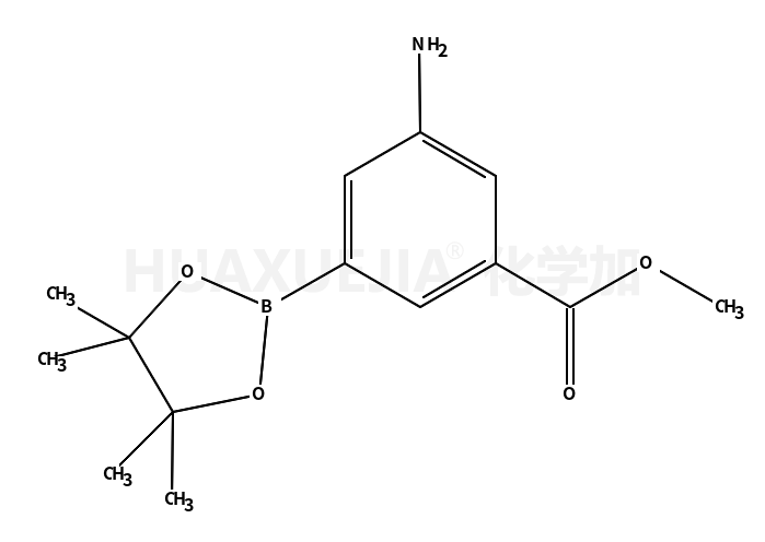 3-氨基-5-甲氧羰基苯基硼酸频哪醇酯