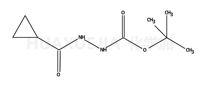 2-(环丙烷羰基)肼羧酸叔丁酯