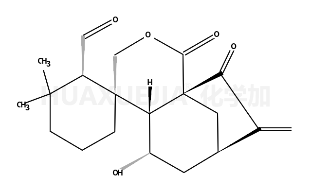 毛果香茶菜醛 A