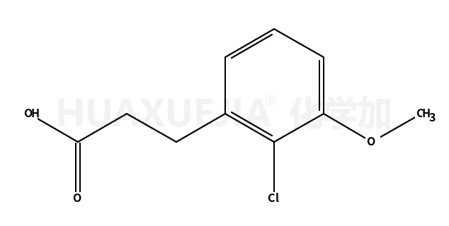 3-(2-氯-3-甲氧苯基)丙酸