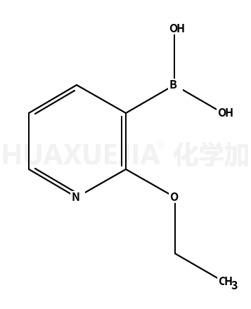 2-乙氧基吡啶-3-硼酸