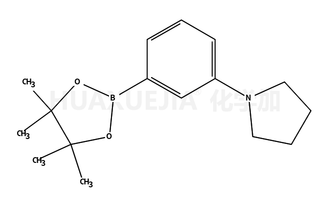 1-[3-(4,4,5,5-四甲基-1,3,2-二噁硼烷-2-基)苯基]吡咯烷