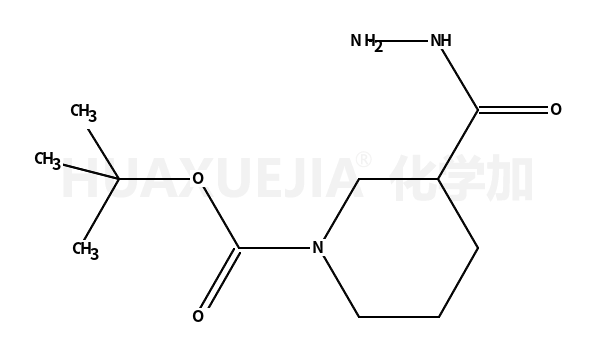 3-(肼羰基)哌啶-1-羧酸叔丁酯