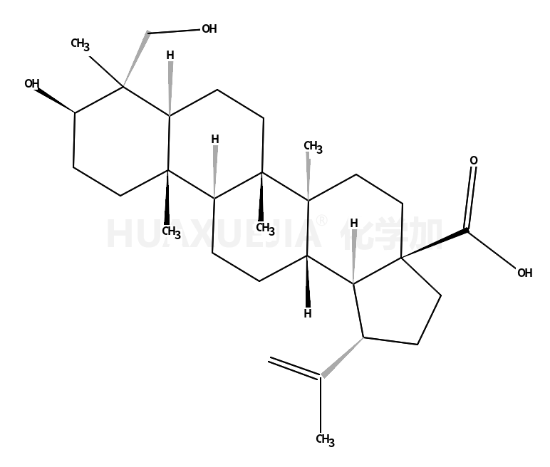 (1R,3aS,5aR,5bR,7aR,9S,11aR,11bR,13aS,13bR)-9-hydroxy-8-(hydroxymethyl)-5a,5b,8,11a-tetramethyl-1-prop-1-en-2-yl-1,2,3,4,5,6,7,7a,9,10,11,11b,12,13,13a,13b-hexadecahydrocyclopenta[a]chrysene-3a-carboxylic acid