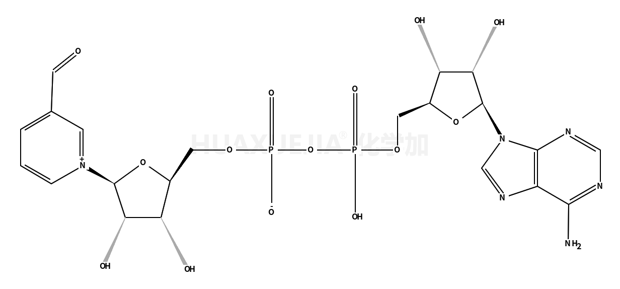 3-吡啶乙醛腺嘌呤二核苷酸
