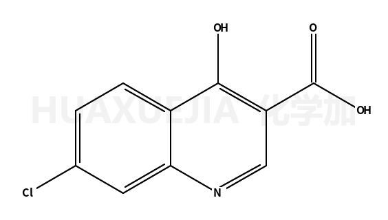 7-氯-4-羟基-3-喹啉羧酸