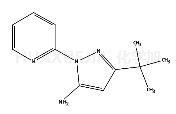 3-叔丁基-1-(吡啶-2-基)-1H-吡唑-5-胺