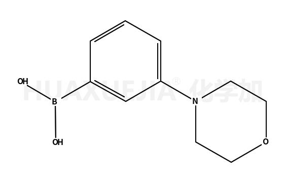 3-(N-吗啡啉基)苯硼酸