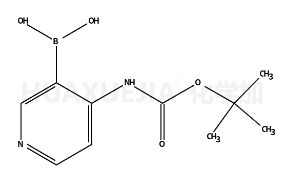 {4-[(叔丁氧基羰基)氨基]吡啶-3-基}硼酸