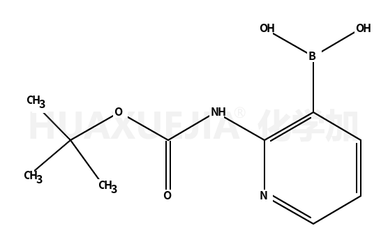2-(叔丁氧羰基氨基)吡啶-3-硼酸