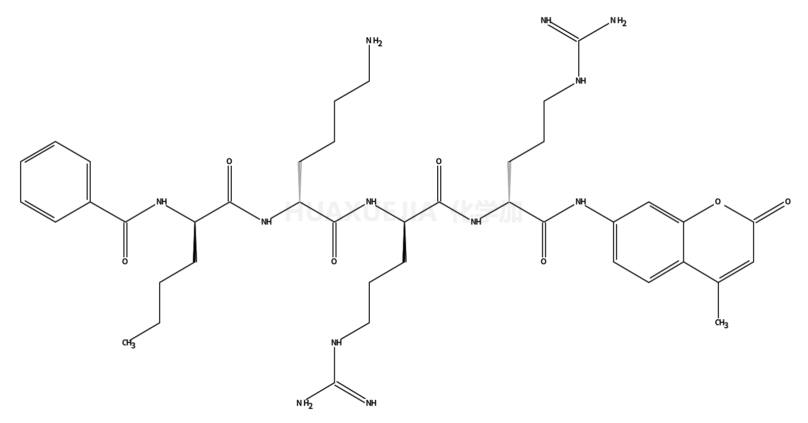 Bz-Nle-Lys-Arg-Arg-AMC