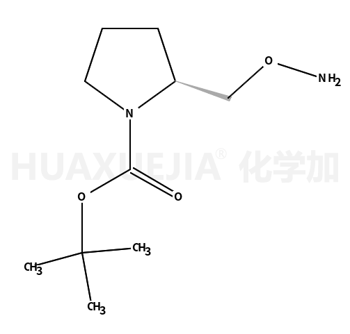 (S)-2-[(氨基氧基)甲基]吡咯烷-1-羧酸叔丁酯