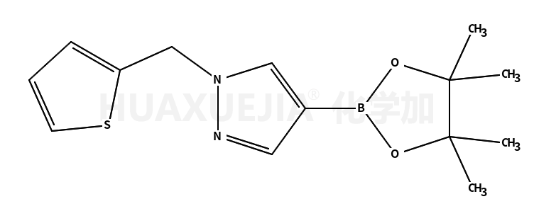 1-(噻吩-2-甲基)-1H-吡唑-4-硼酸频那醇酯