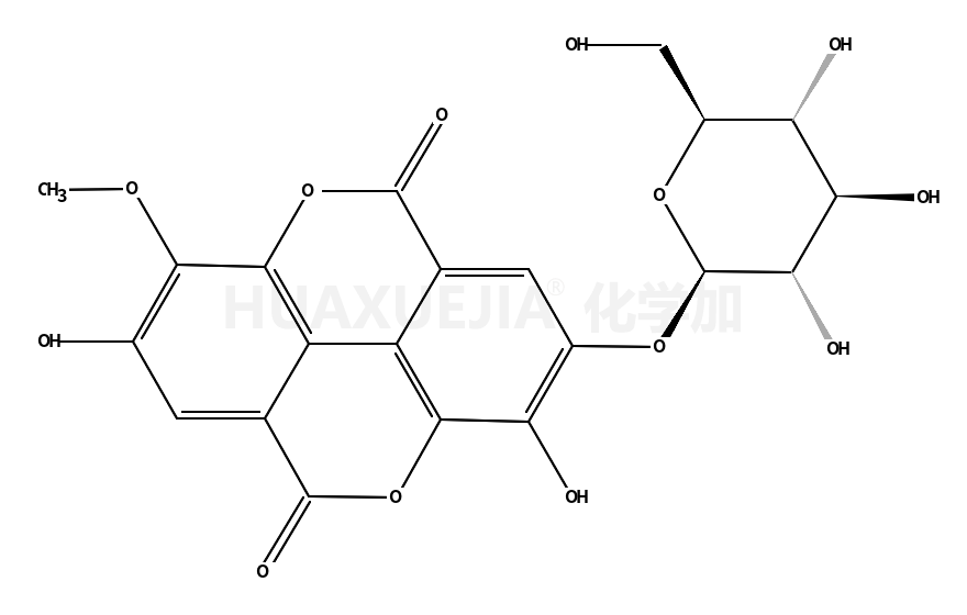 Stachyanthuside A