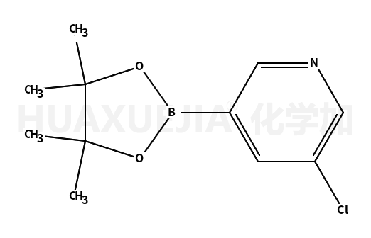 5-氯吡啶-3-硼酸频哪醇酯