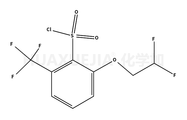 2-(2,2-二氟乙氧基)-6-三氟甲基苯磺酰氯