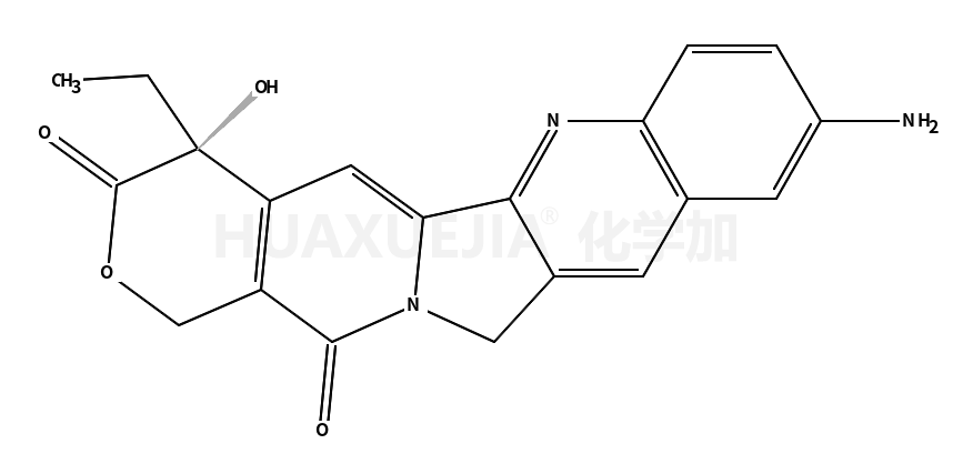 10-氨基喜树碱