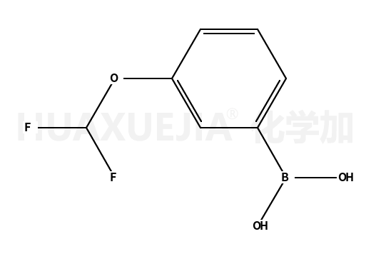 間二氟甲氧基苯硼酸