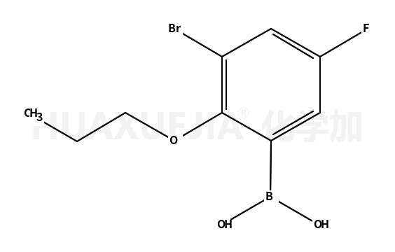 3-溴-5-氟-2-丙氧基苯基硼酸