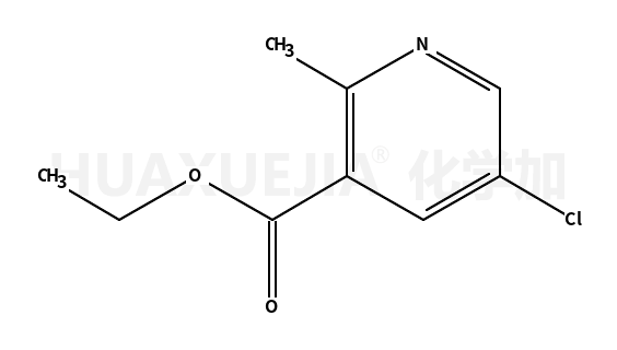 5-氯-2-甲基-烟酸乙酯
