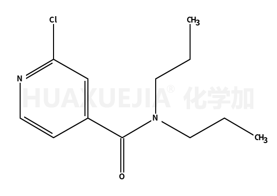 2-Chloro-N,N-dipropylisonicotinamide