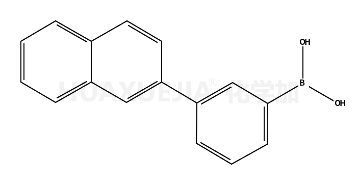 3-(2-萘基)苯硼酸