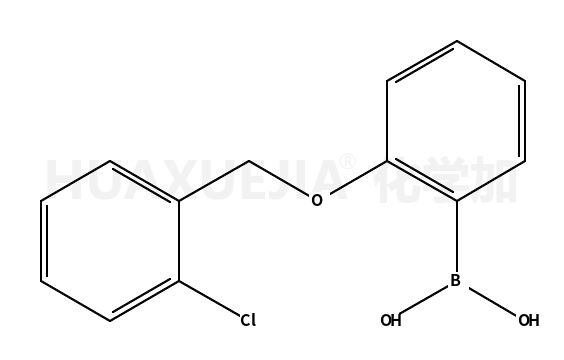 2-(2’-氯苄氧基)苯基硼酸