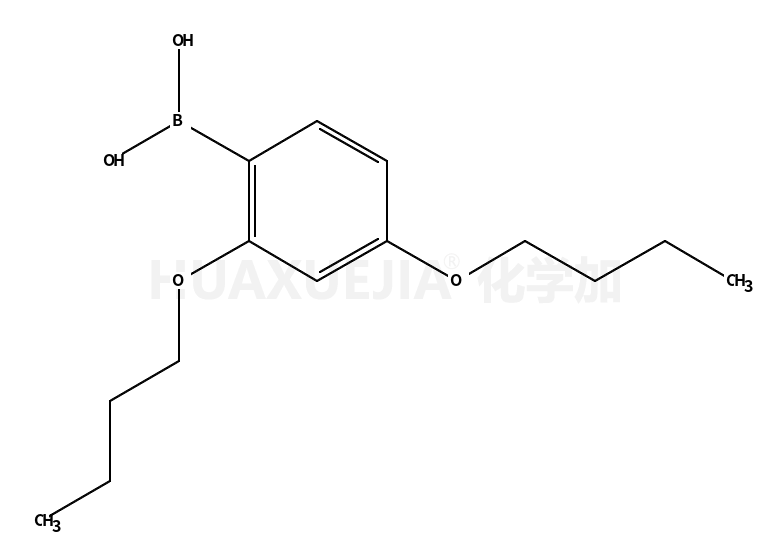 2,4-二丁氧基苯基硼酸