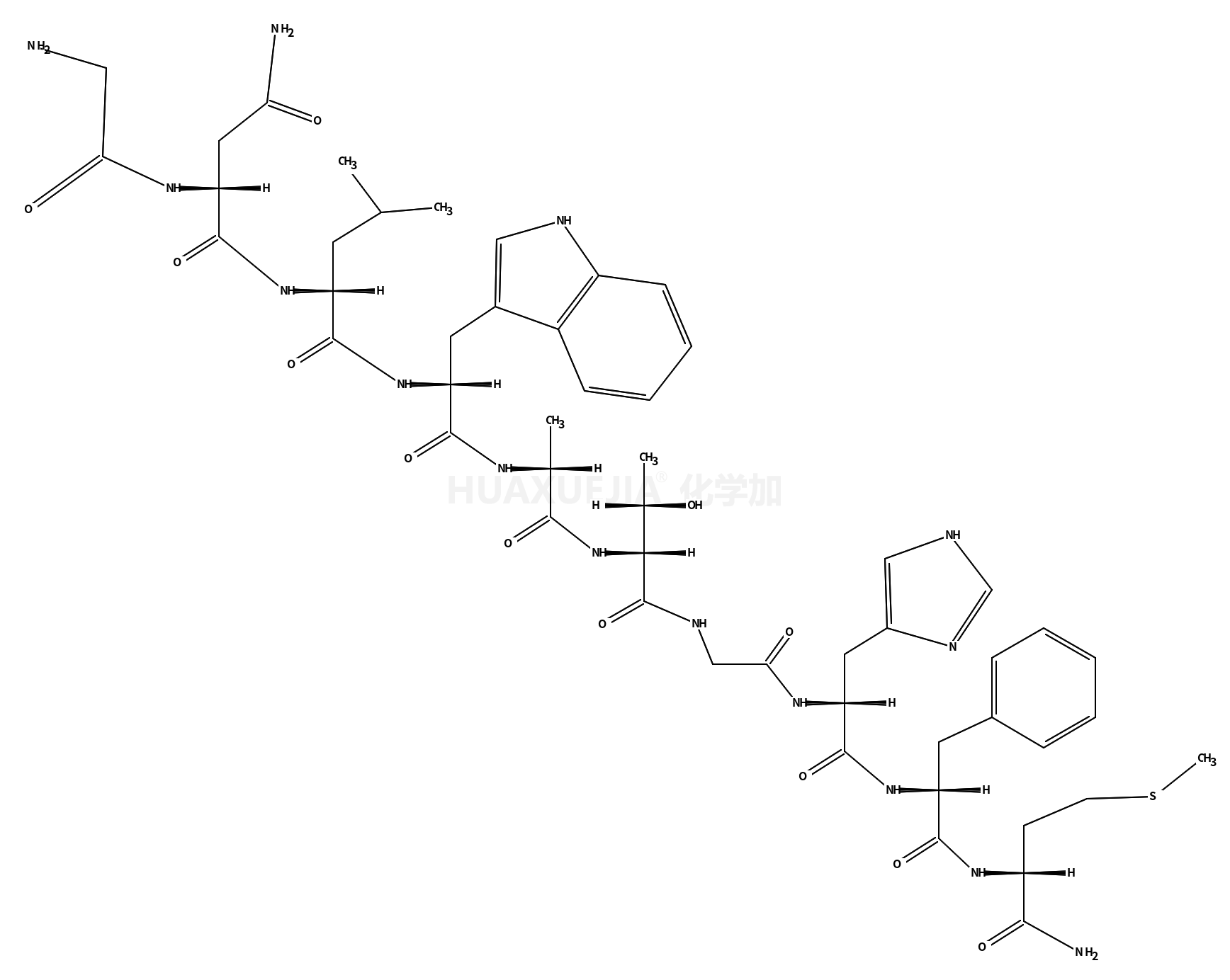 GLY-ASN-LEU-TRP-ALA-THR-GLY-HIS-PHE-MET-NH2