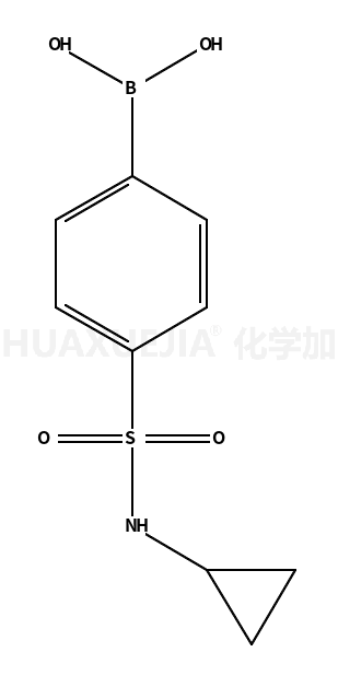 N-环丙基-4-硼苯磺酰胺