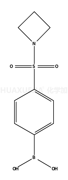 4-(吖丁啶-1-基磺酰)苯基硼酸