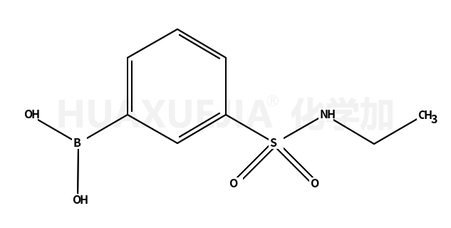 3-硼苯磺酰胺乙酯