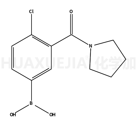 4-氯-3-(1-吡咯烷基羰基)苯硼酸