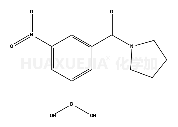3-硝基-5-(吡咯啉-1-羰基)苯基硼酸