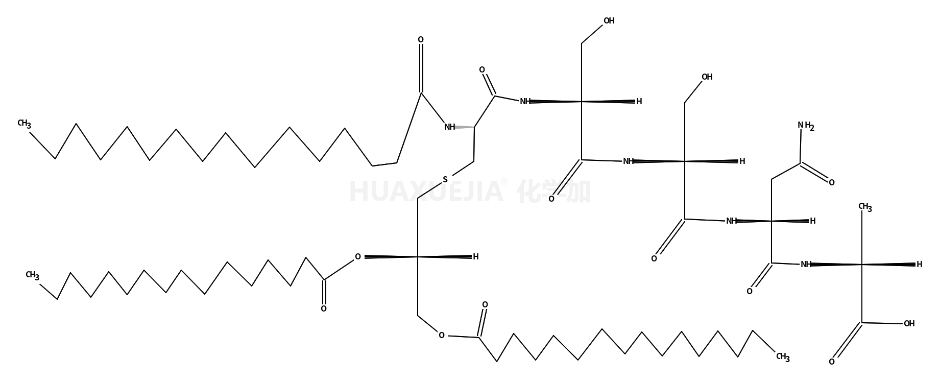 MITOGENIC PENTAPEPTIDE