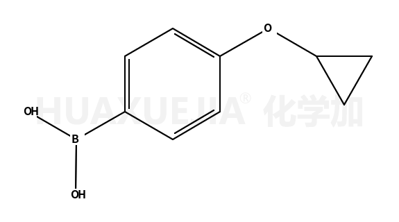 4-环丙氧基苯硼酸