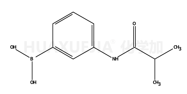 3-异丁酰胺基苯基硼酸