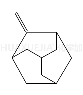 2-亚甲基金刚烷