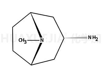 3-ENDO-氨基托烷,ENDO-8-甲基-8-氮杂双环[3.2.1]辛-3-胺