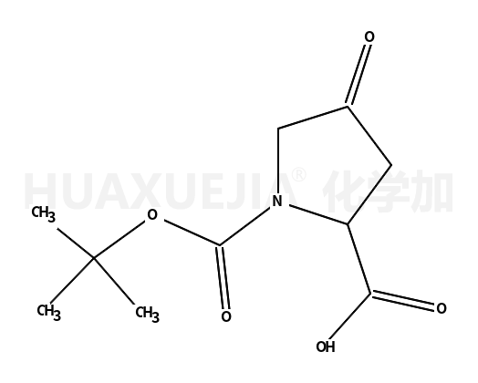 1-叔丁基-4-氧吡咯烷-2-羧酸