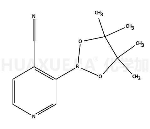 4-氰基吡啶-3-硼酸频哪醇酯