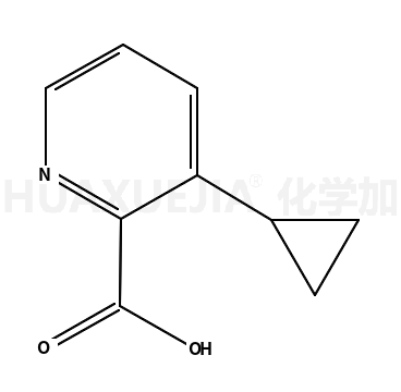 3-环丙基皮考啉酸