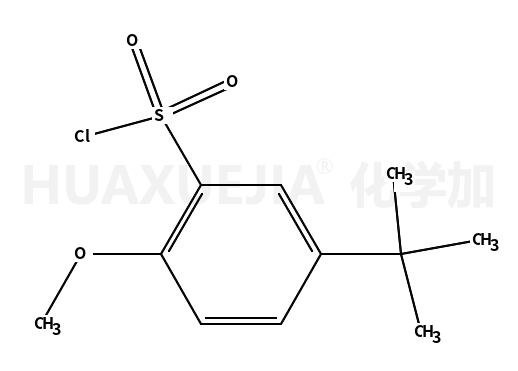 5-叔丁基-2-甲氧基-苯磺酰氯