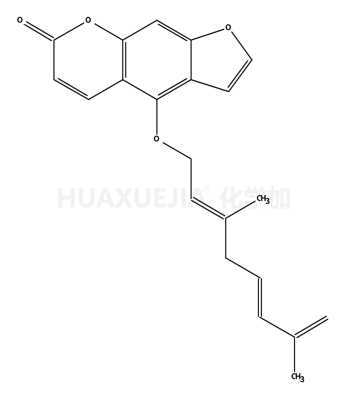 脱水羌活酚