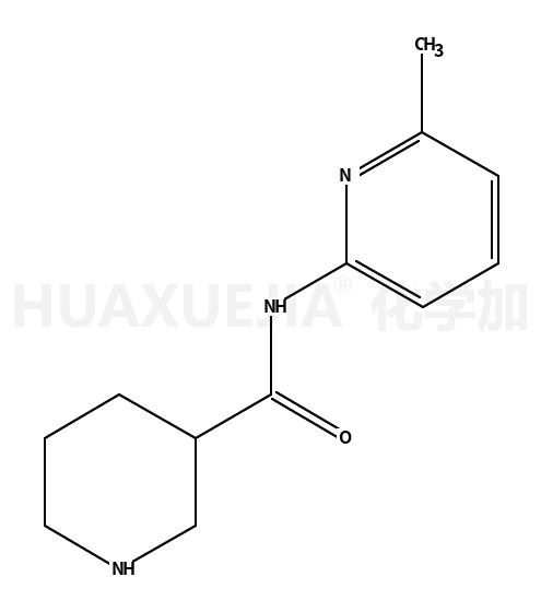 N-(6-甲基吡啶-2-基)哌啶-3-甲酰胺