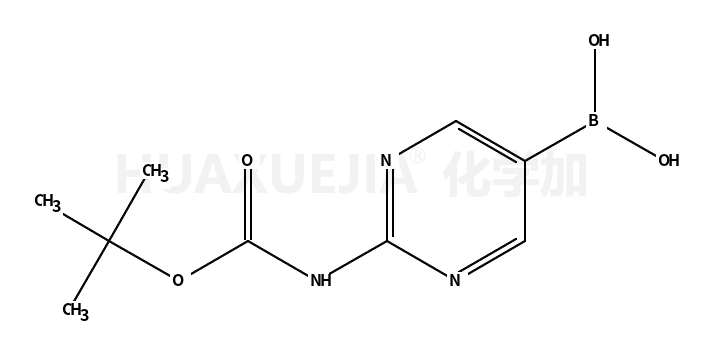 [2-(叔丁氧羰基氨基)嘧啶-5-基]硼酸