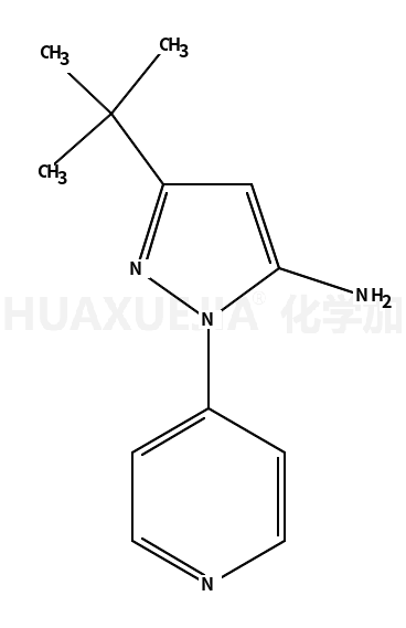 3-(叔丁基)-1-(吡啶-4-基)-1H-吡唑-5-胺