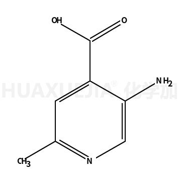 5-氨基-2-甲基异烟酸