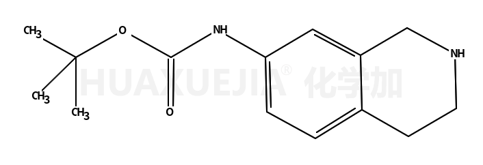1,2,3,4-四氢异喹啉-7-氨基甲酸叔丁酯